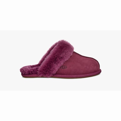 Chinelos UGG Scuffette II Mulher Roxo | PT-EIHGF